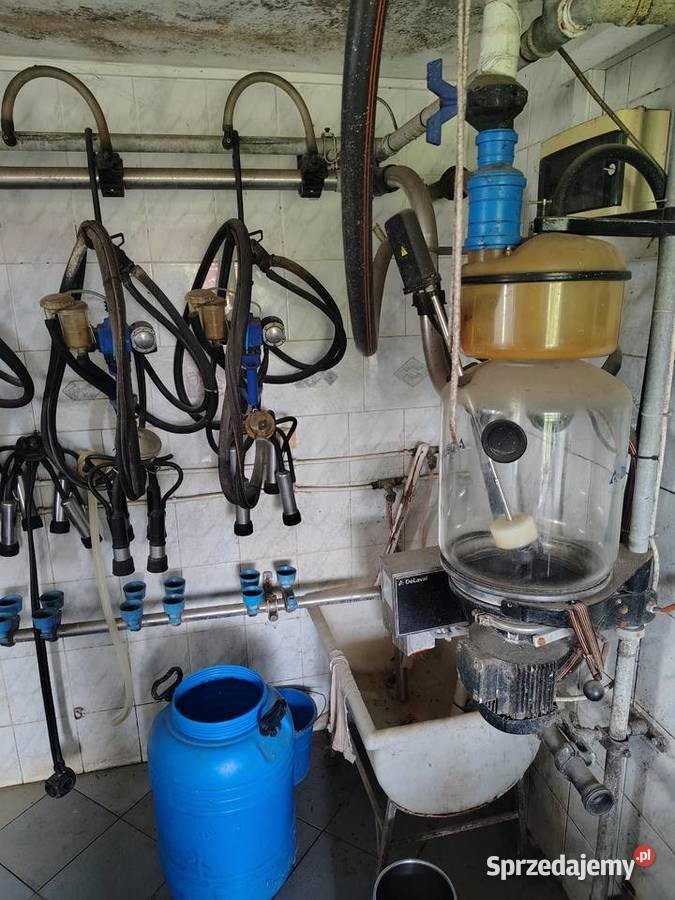 Dojarka przewodowa Alfa Laval Charlejów