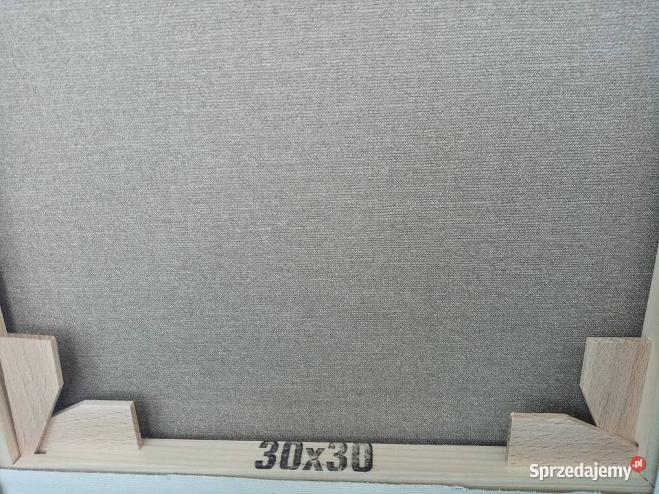 Poszukaj kwiatka NOWY certyfikat Kołobrzeg