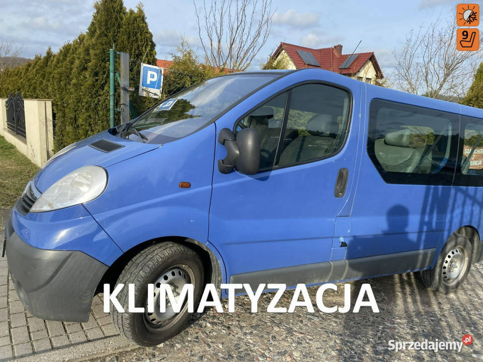 Opel Vivaro 9 osobowy, hak, nowy rozrząd, klimatyzacja, imp…