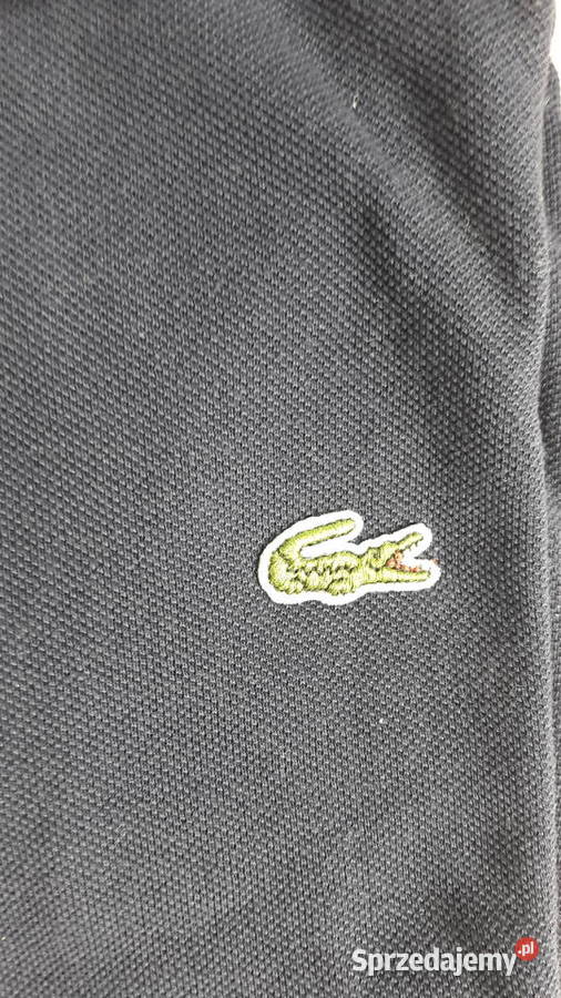 Koszulka polo Lacoste granatowa Głuchołazy sprzedam