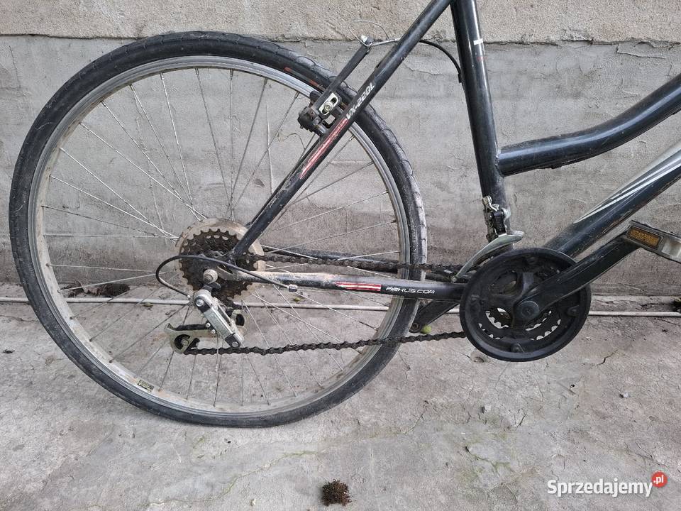 Rower Zenith 26 Lublin