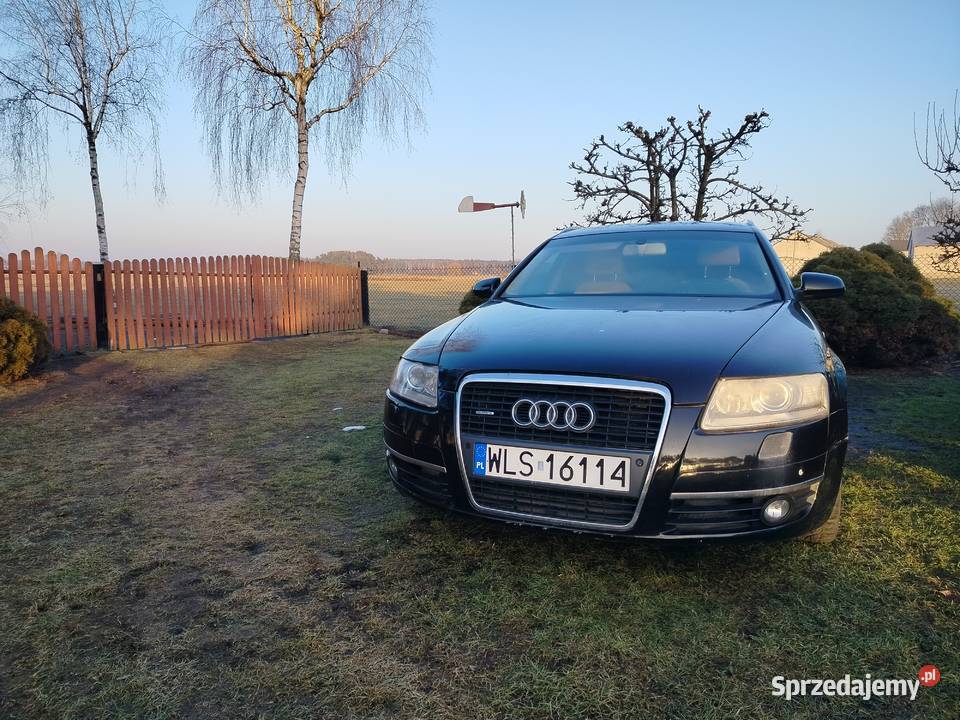 Audi A6 Audi mazowieckie Strusy
