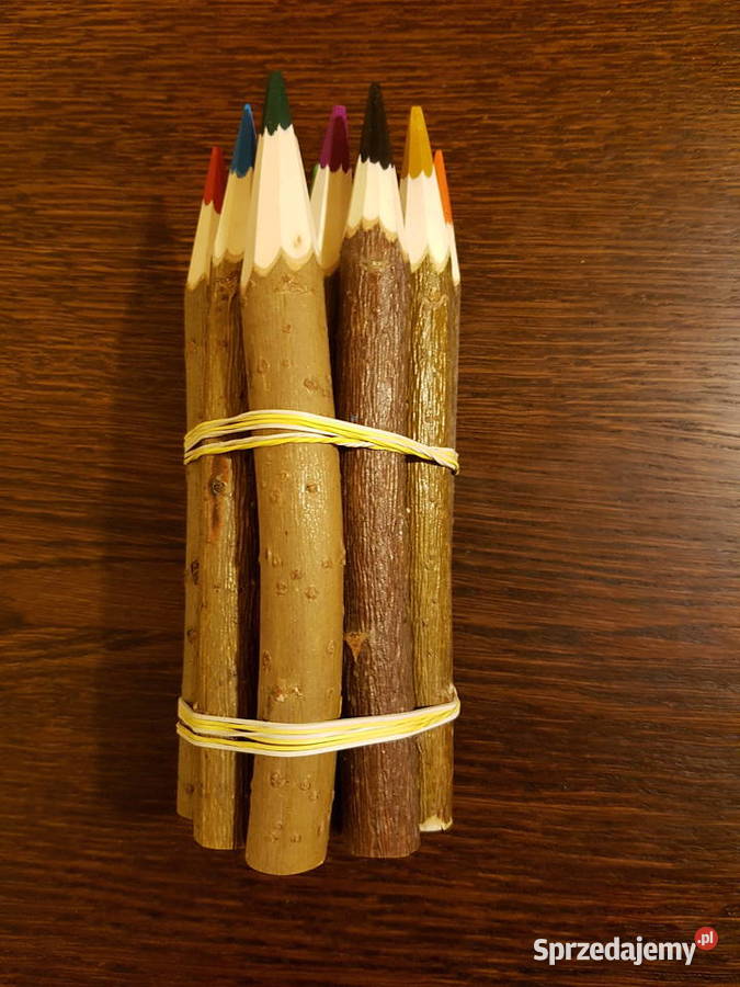 wierzba energetyczna na pniu z 95 ha Haczów