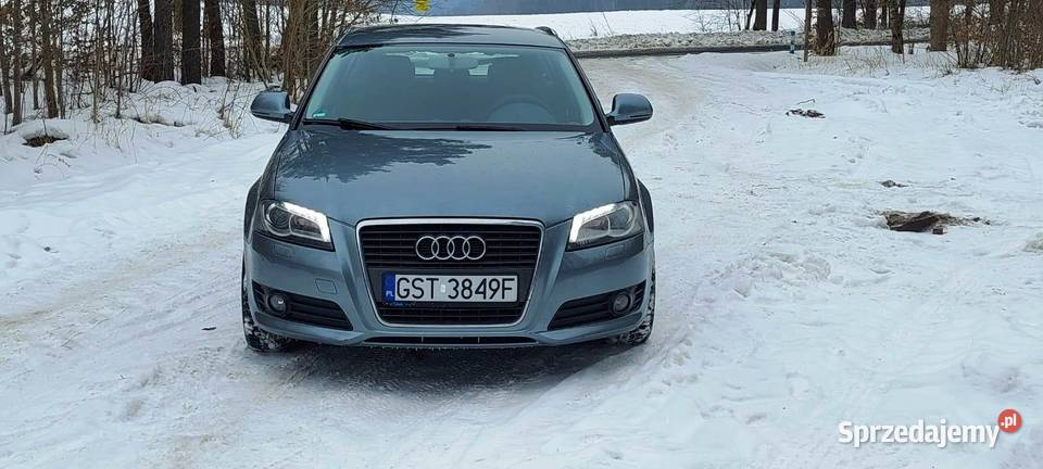 Audi a3 8p 2009r 20 tdi common rail 131 Linowiec sprzedam