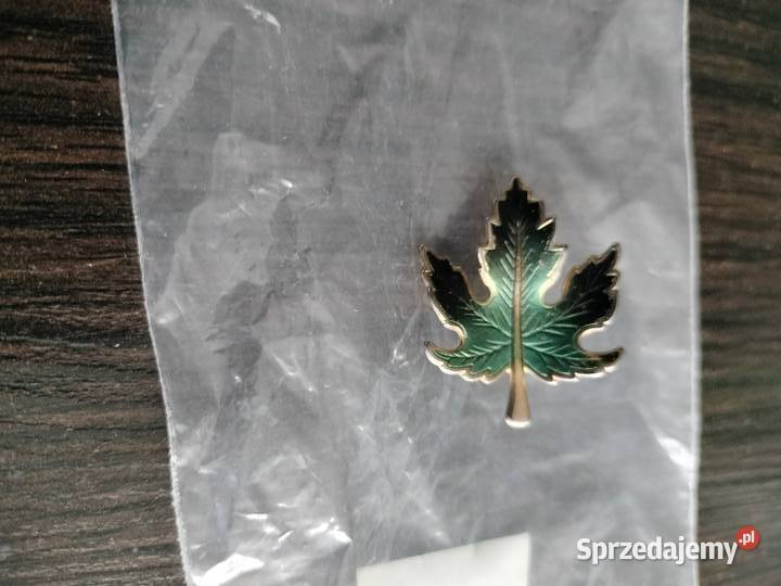 Broszka listek ładny stan zachodniopomorskie Choszczno sprzedam