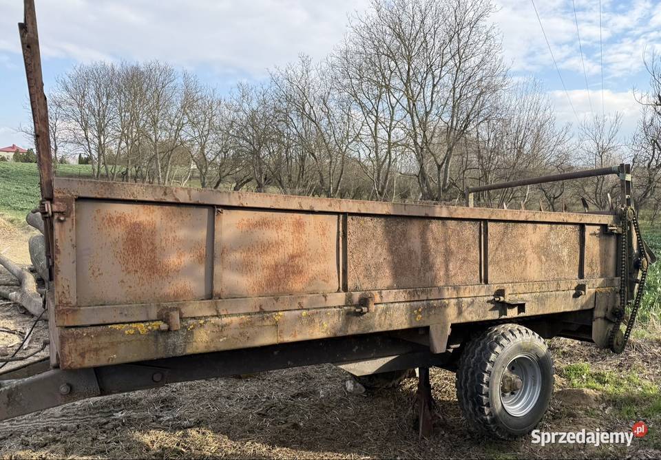 Rozrzutnik Ostrowiec Świętokrzyski