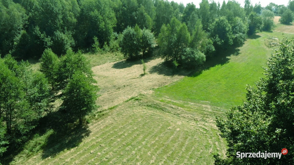 Działka rolna z dopuszczeniem zabudowy Sprzedaż Wysoka sprzedam