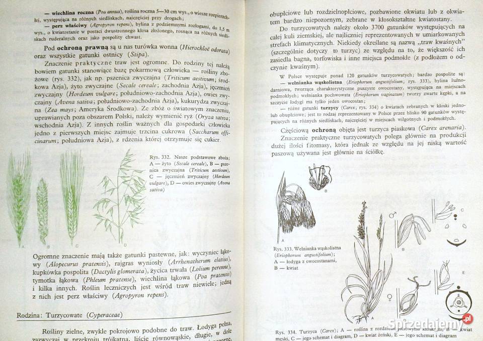 Biologia kl 1 LO M Podbielkowska Z Podbielkowski Pozostałe Chełm