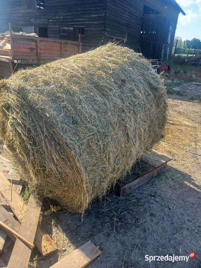 Prasy rolujące mazowieckie Grodzisk Mazowiecki sprzedam