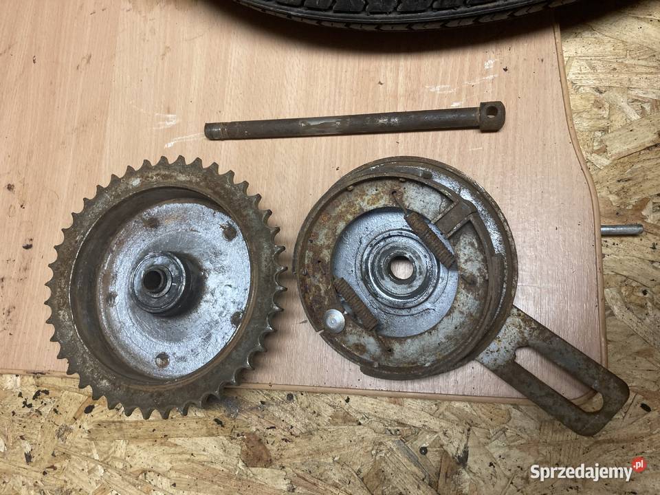 Wfm M06 KOŁO TYLNE Kolekcje wielkopolskie Poznań