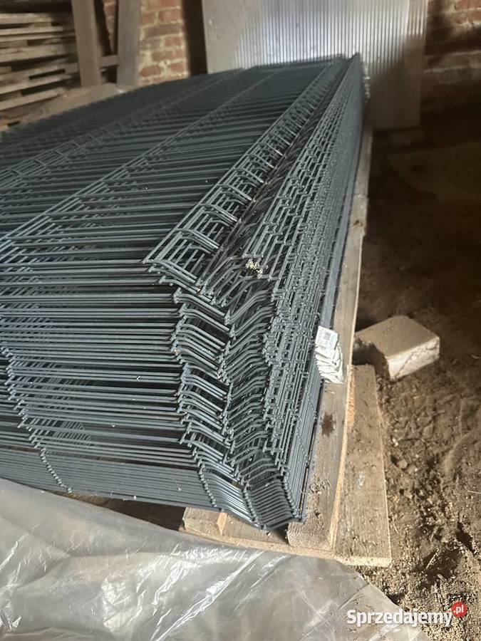 Panele ogrodzeniowe 123x250 fi31 Lisów