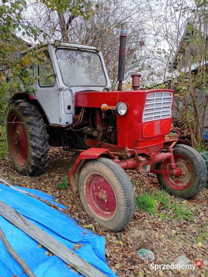 Białoruś jumz mtz Zakrzew sprzedam