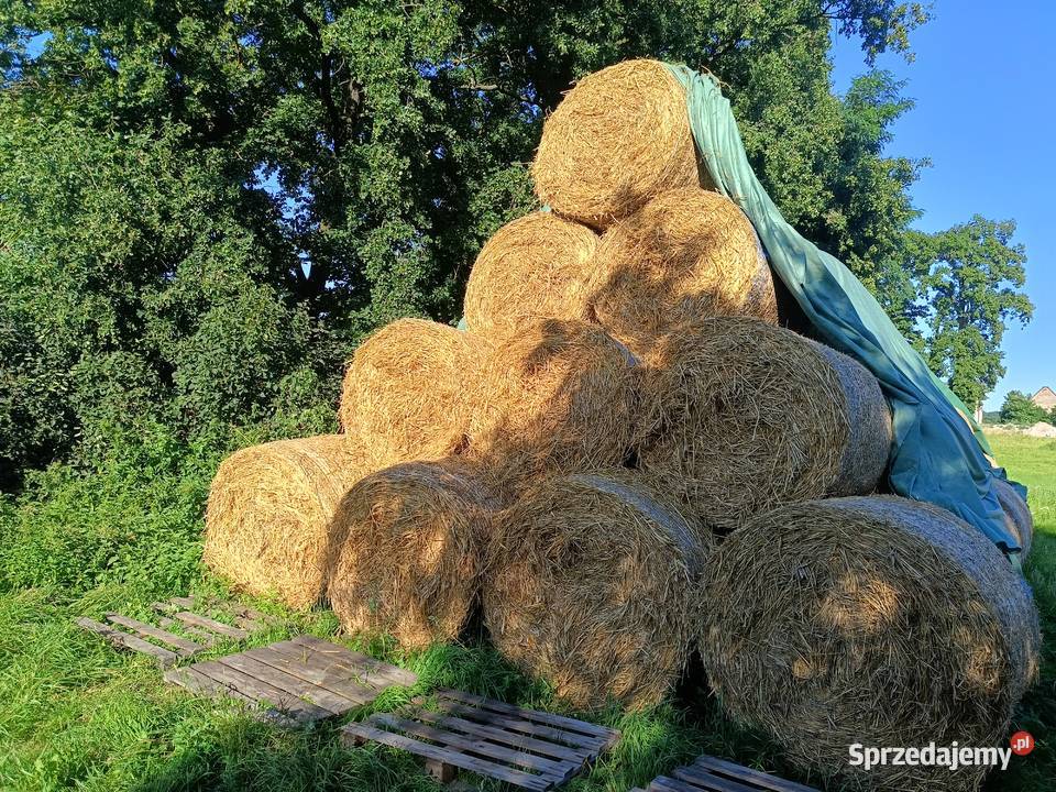 Siano słoma bele baloty Zamienice