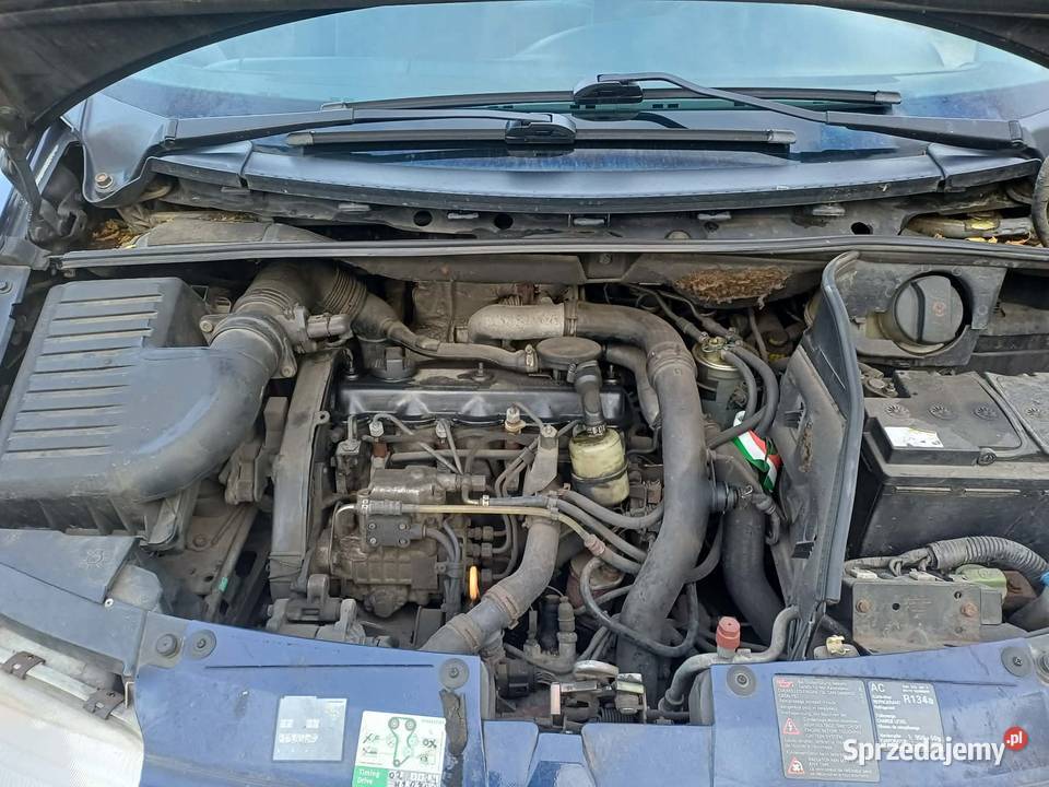 Seat Alhambra Kiernozia
