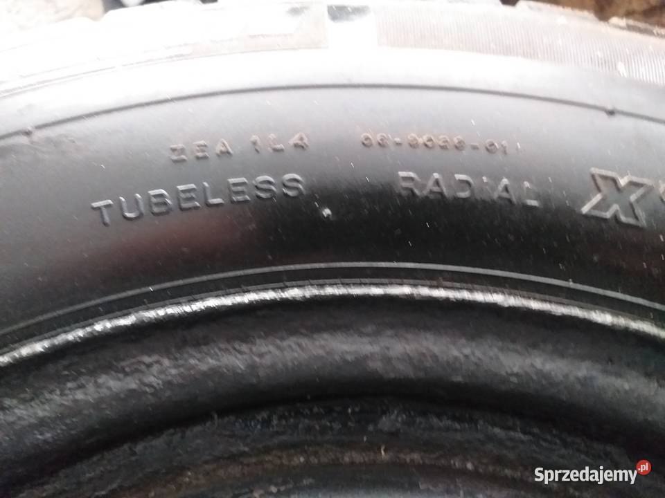 Zimowe Michelin 1956515 z felgami i kołpakami warmińsko-mazurskie