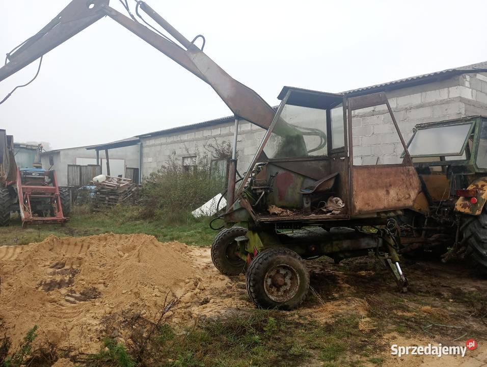 Cyklop nieuszkodzony pomorskie Nowy Dwór