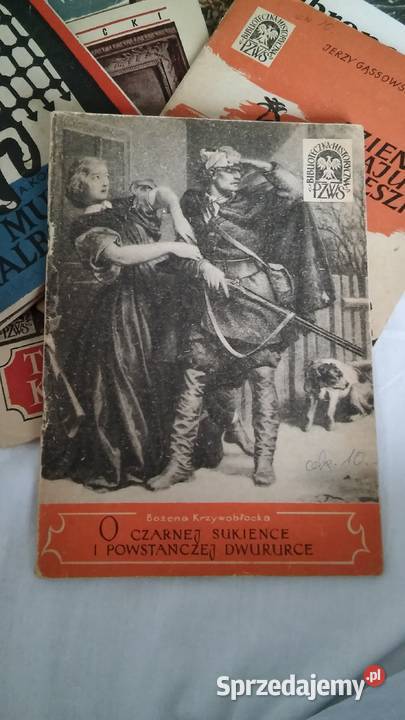 Seria książeczek historycznych historia potop pomorskie