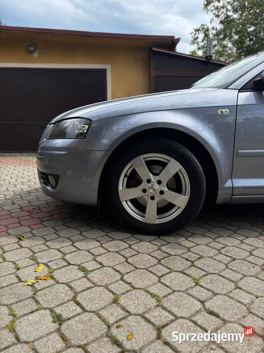 Audi A3 8P Sportback 19tdi nieuszkodzony podkarpackie