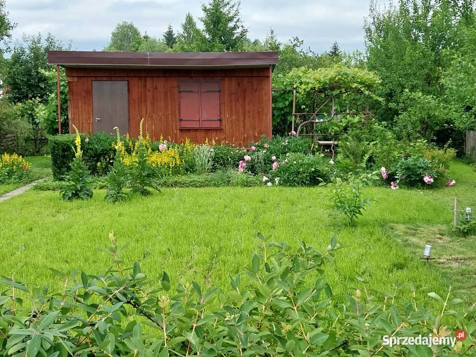 Działaka rekreacyjna ROD na Wieniawskiego 412m2 Rzeszów