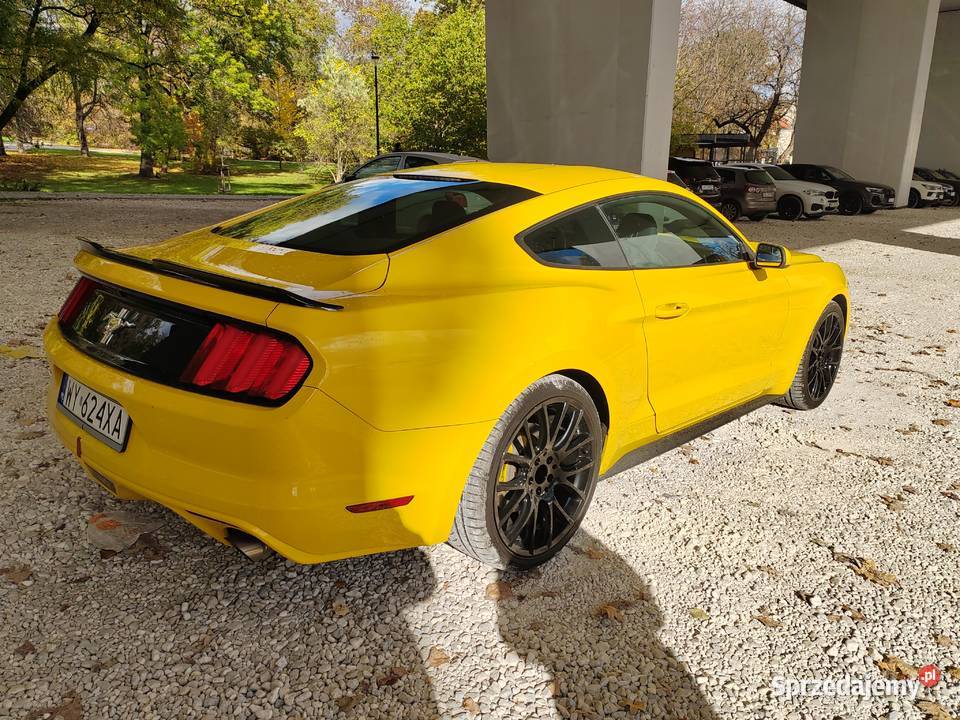 Ford mustang 37 Warszawa
