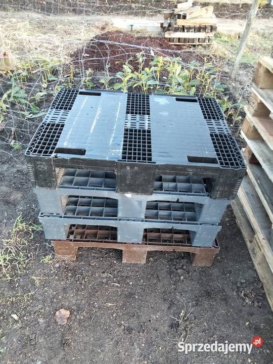 Paleta plastikowa Ostrów Wielkopolski