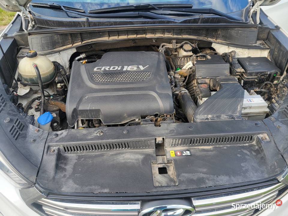 Hyundai Tucson 118 nieuszkodzony Żórawina
