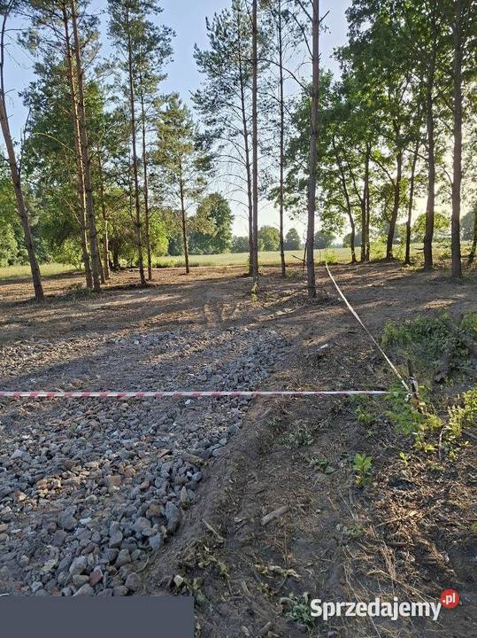 Bajeczna bezpieczna cicha zezwolenie media Błędowo