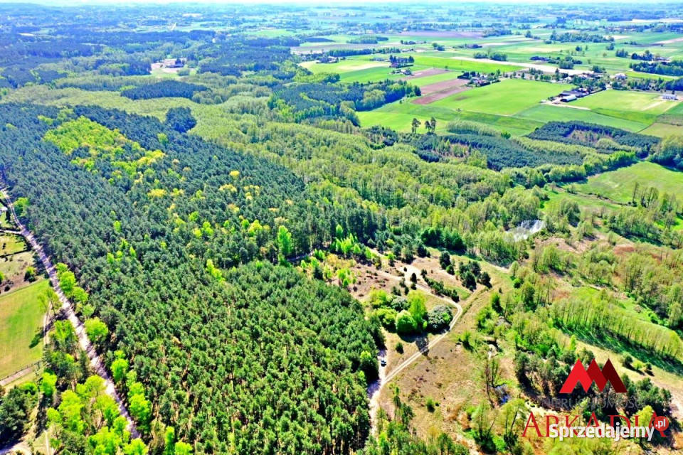 sprzedaży działki 1200m2 Lipno