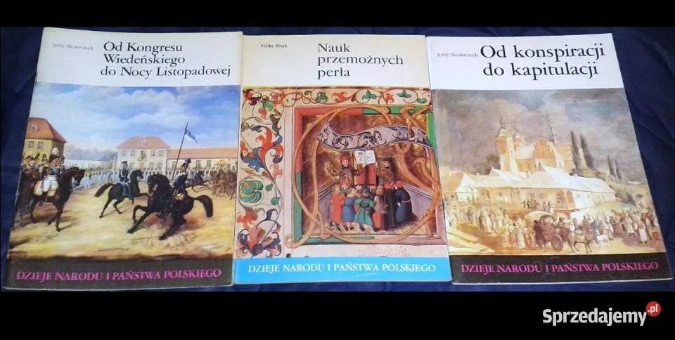Dzieje Narodu i Państwa Polskiego 30 zeszytów Chełm