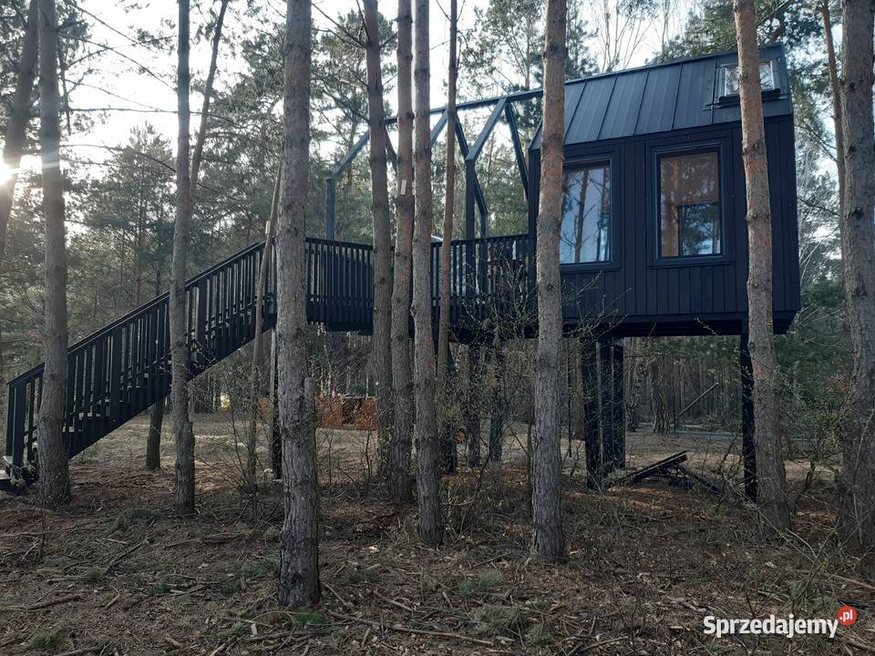 Domek na drzewie 04 A Domek dzieci Domek podkarpackie Przemyśl