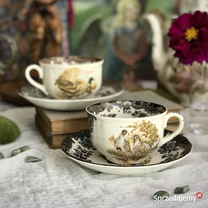 Filiżanka Royal Worcester Palissy porcelana śląskie Myszków