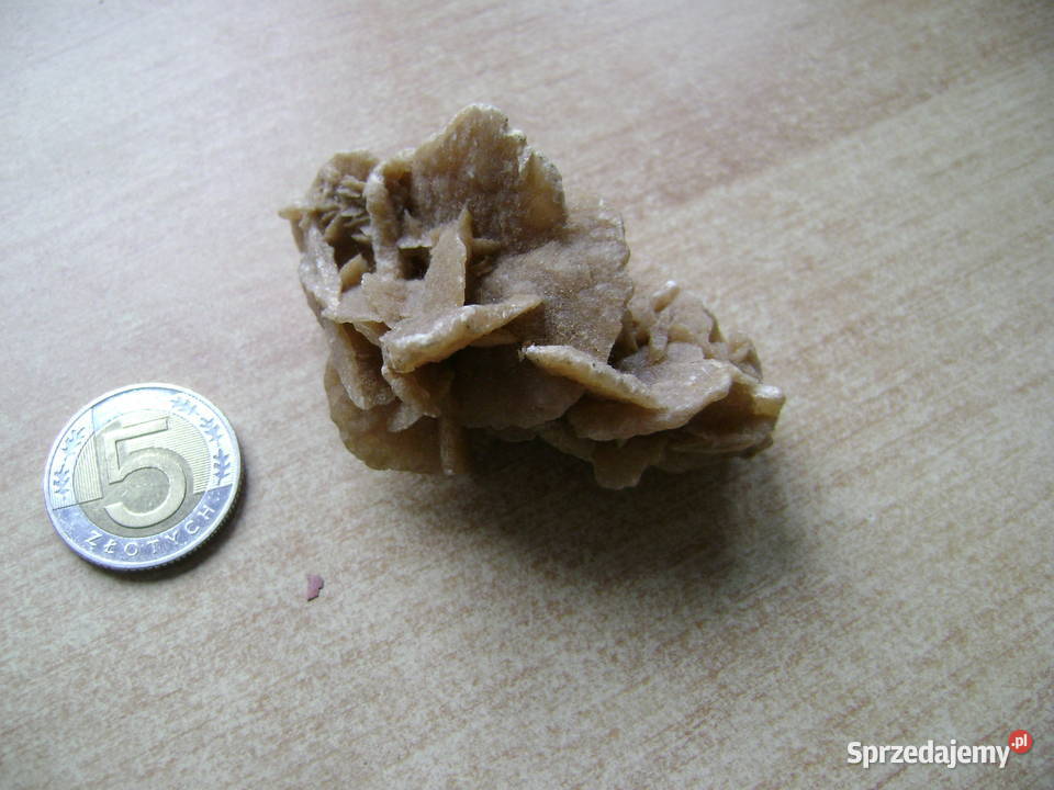 Starocie z PRL Minerały Róża Pustyni z Sahary pomorskie Gdynia