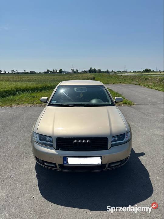 Audi a4 b6 20 A4 wielkopolskie