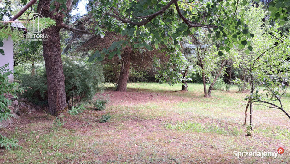 Działka 16000m2 Sobolewo Baranowicka