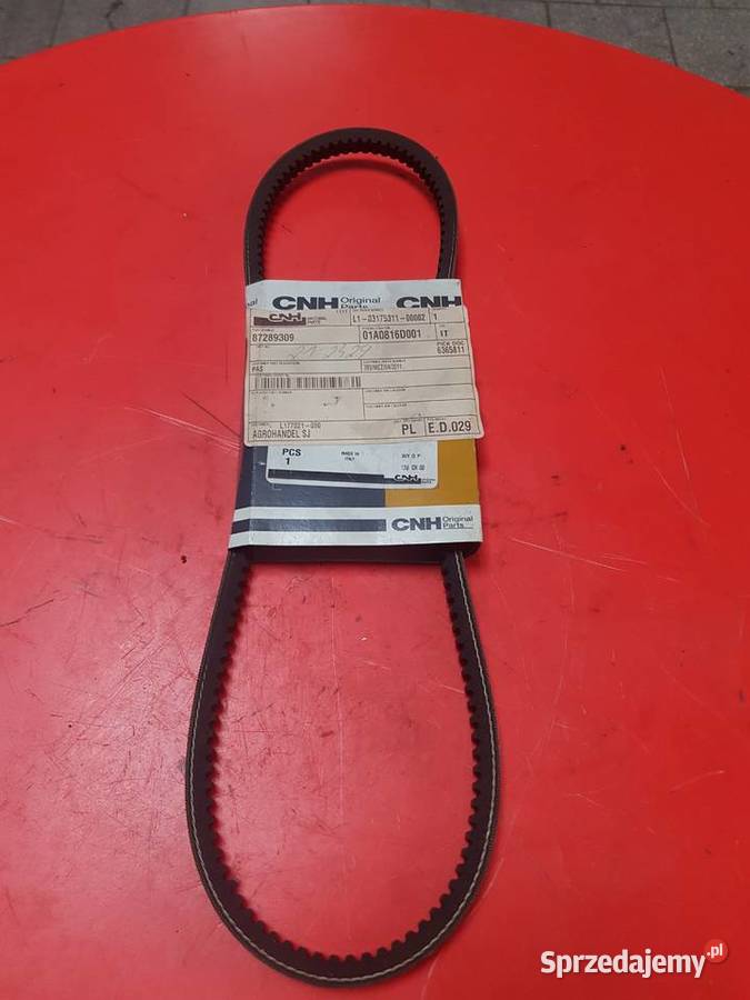 87289309 Pas klinowy CNH Holland Sulechów sprzedam