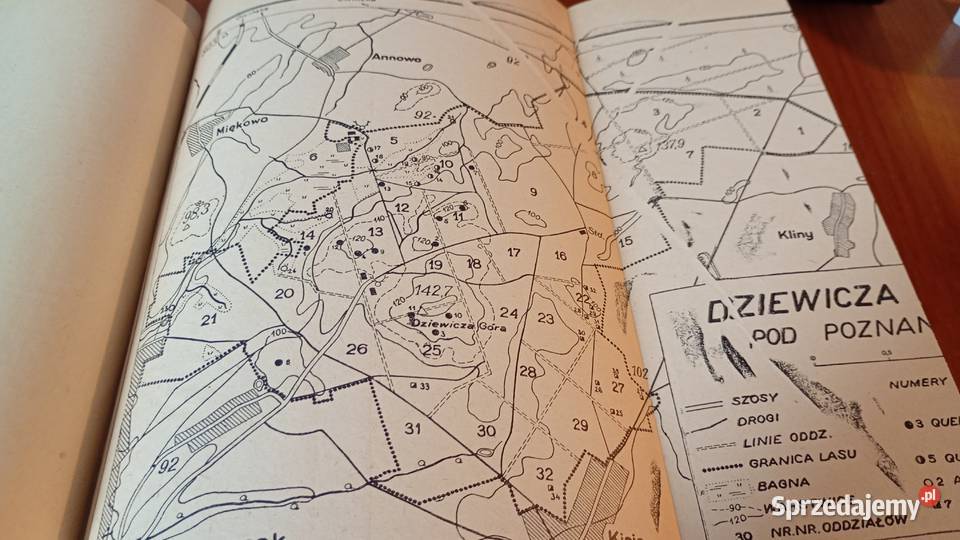 Roślinność Dziewiczej Góry pod Poznaniem Halina Gdańsk sprzedam