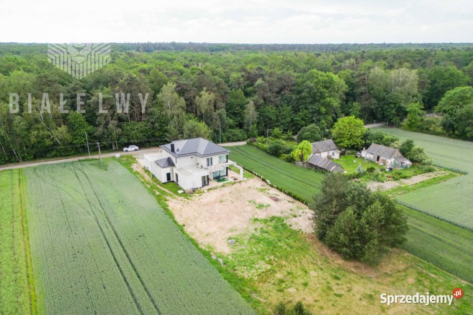 Dom wolnostojący sprzedam 281m2 Dominów 281m2 Sprzedaż
