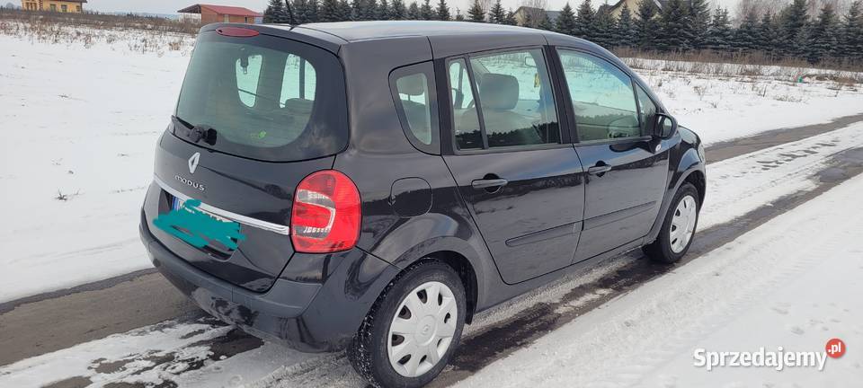 Renault Modus Zbuczyn