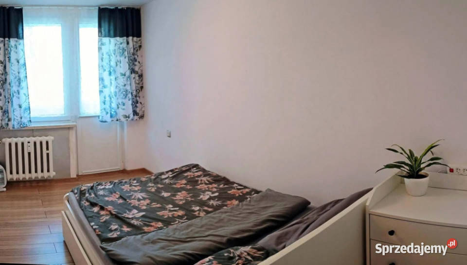 Komfortowe mieszkanie do wynajęcia Chorzów