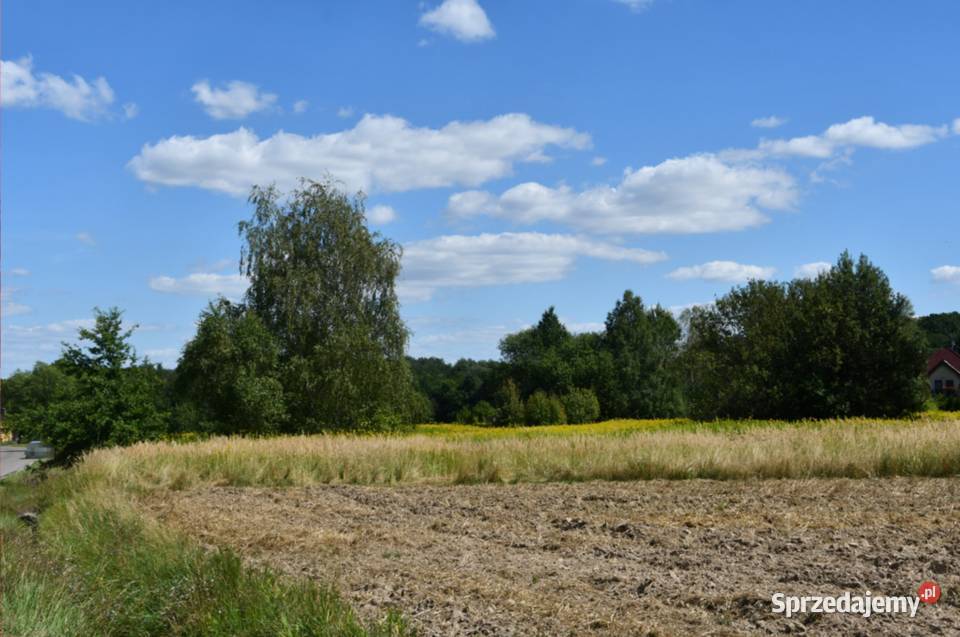 Działka rolna 43a Strażów