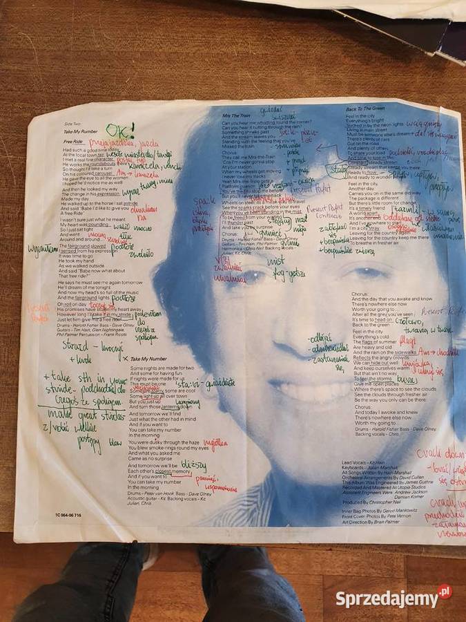 Płyty winylowe płyta winylowa Wałbrzych