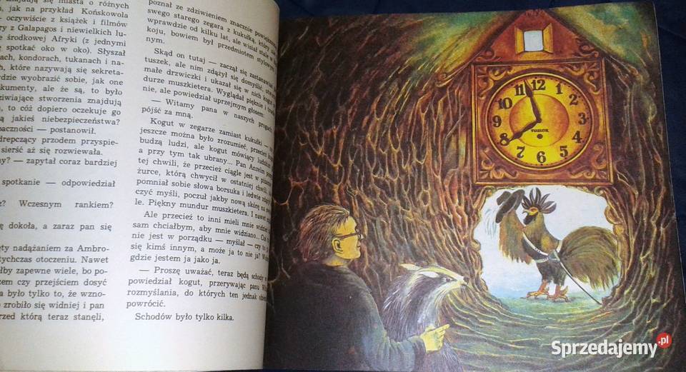 Godzina dwudziesta piąta Wojciech Janota Chełm