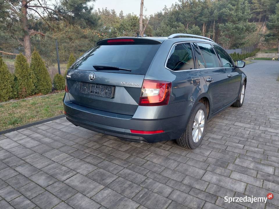 Skoda Octavia 16TDI Kamera DSGNavi Lift Led Czarnków