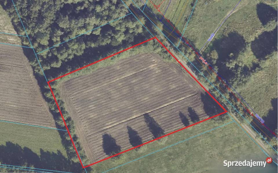 Działka budowlana 57 arów lesie cisza spokój