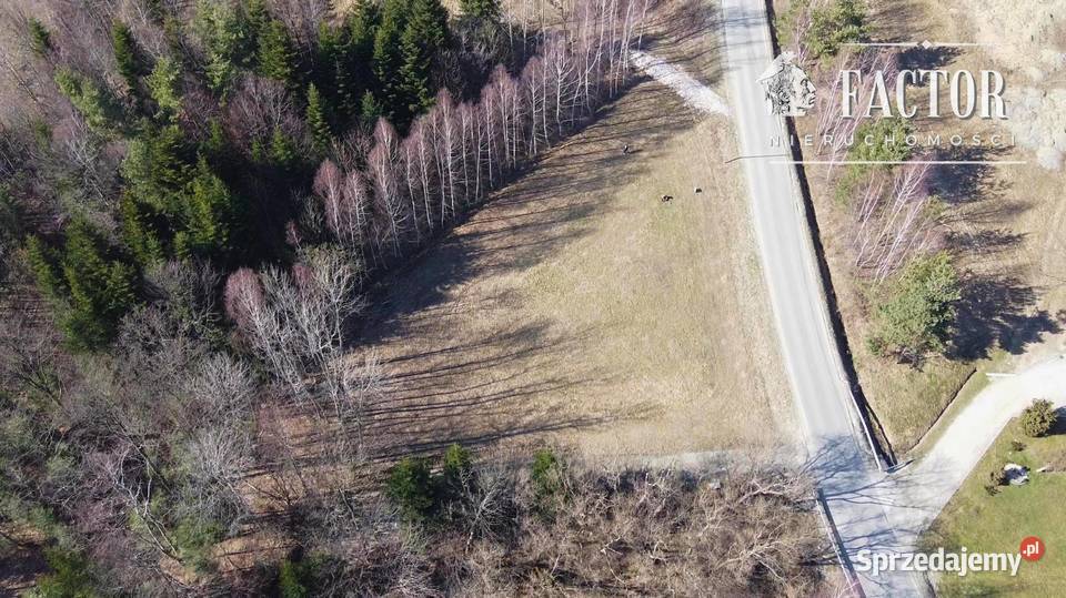 Widokowa działka budowlana 1279 ara Bieśnik gm 59zł/m2