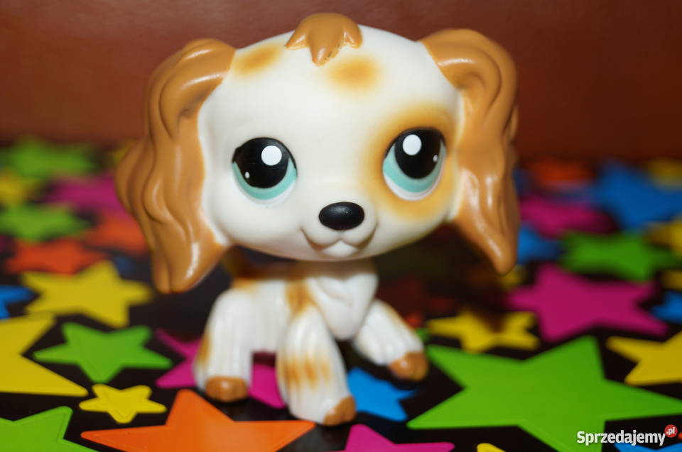LPS spaniel UNIKAT 344 Littlest Pet Shop pies Czerwionka-Leszczyny