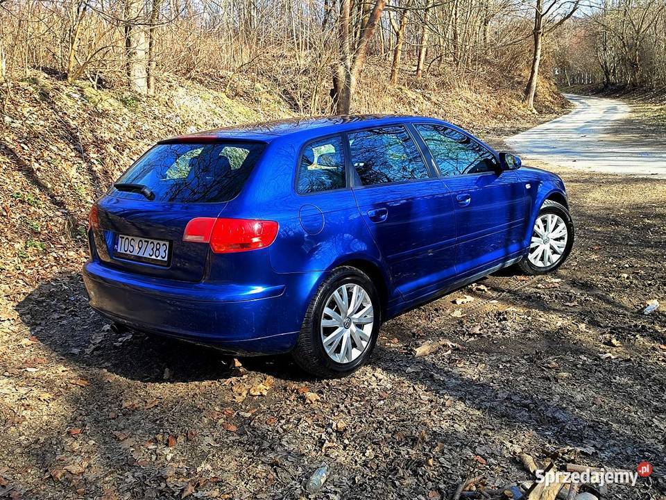Audi A3 8P 16 Benzyna 215 Podgrzewane Fotele 4el 215000km Ostrowiec Świętokrzyski