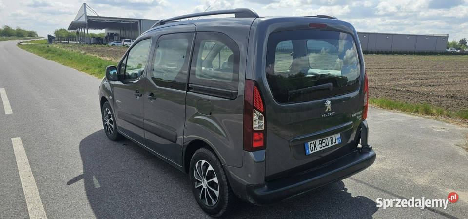 Peugeot Partner 16 Hdi 92 160 II 2008 Hatchback