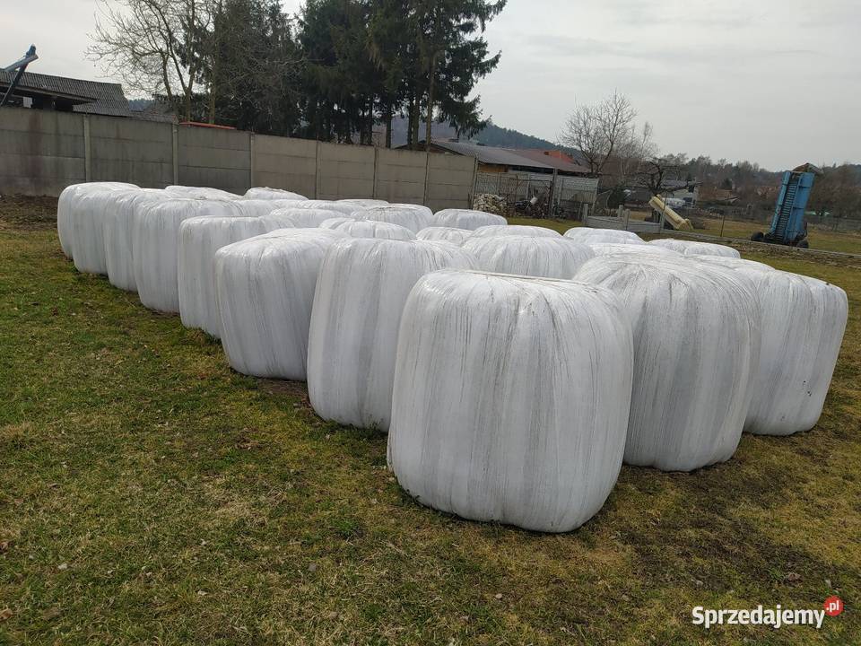 Sianokiszonka 2025r pierwszy pokos Niegowa