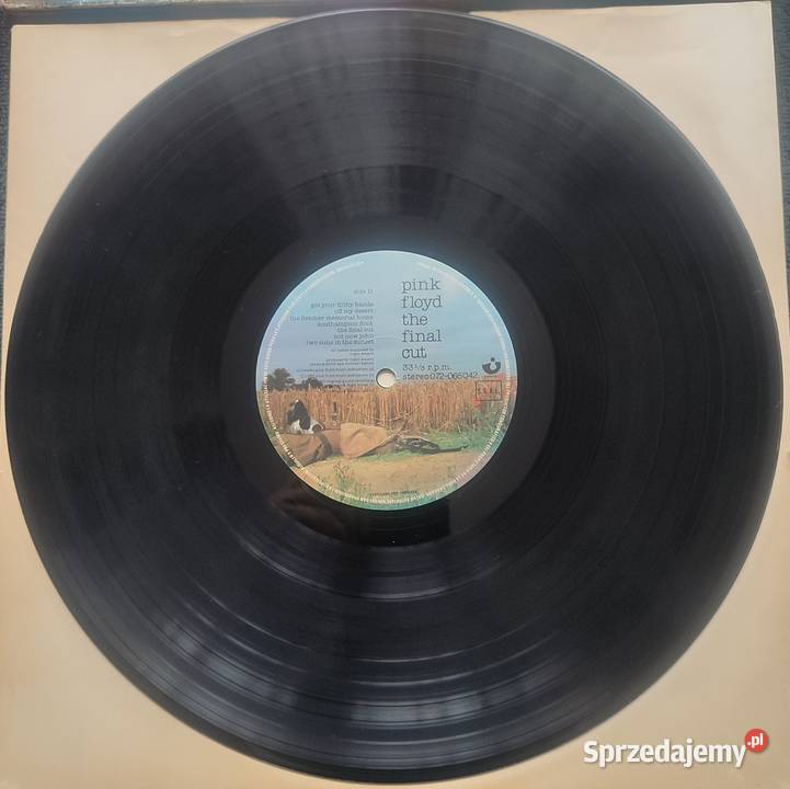 Płyty winylowe zespołu Pink Floyd podlaskie Białystok